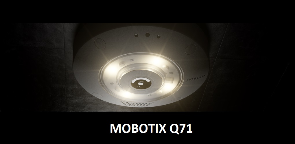 q71_snews6body.jpg